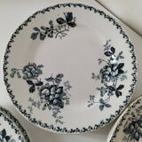 Set of 10 ironstone plates Moulin des Loups Acacia