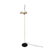 Floor lamp / Raul Barbieri & Giorgio Marianelli for Tronconi / Italy 1970s