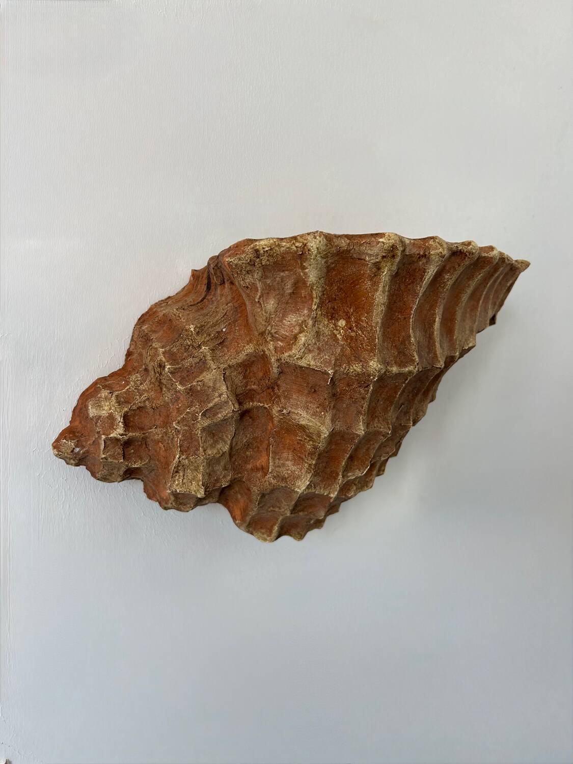 Pair of vintage terracotta shell wall lights