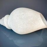 Glass shell lamp