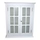 Vitree wall cabinet