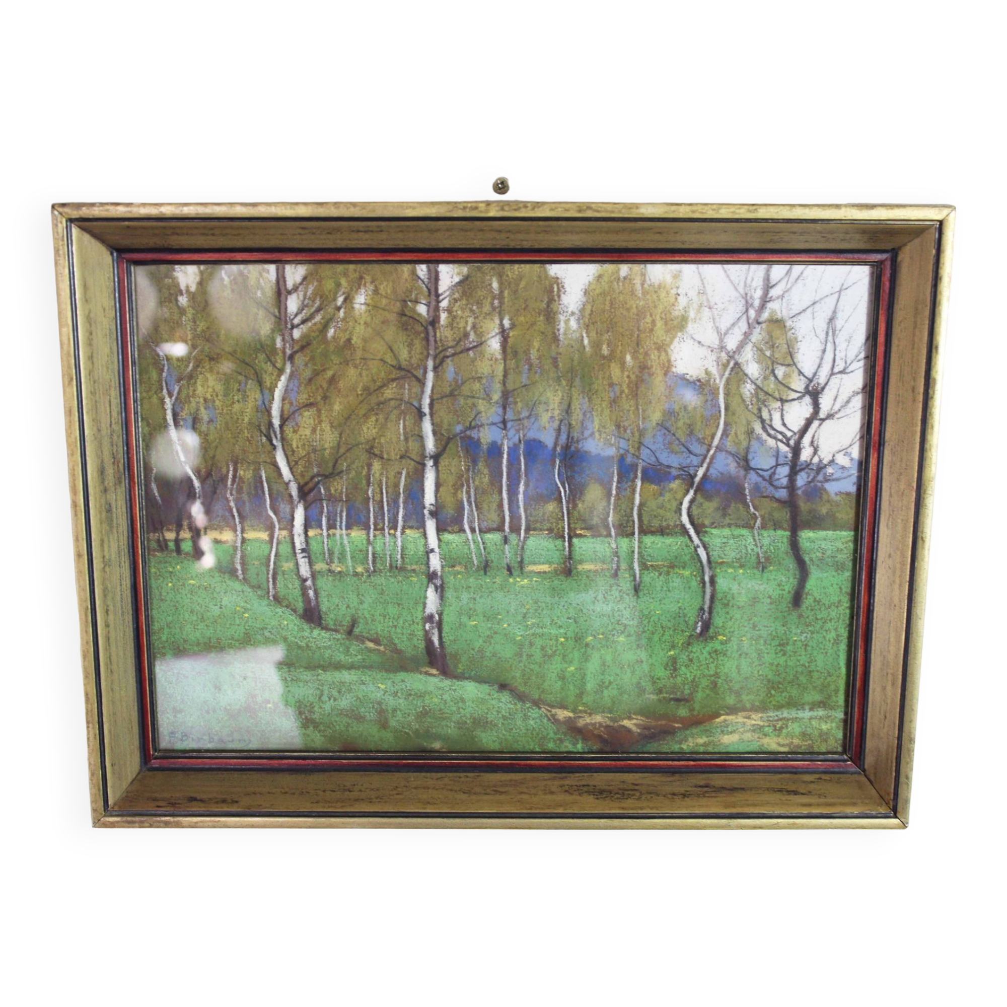 Pastel by François Birbaum