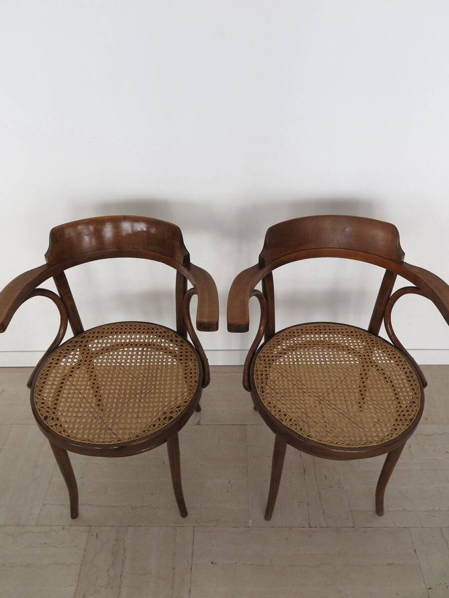 Vintage Chairs by Michael Thonet for Thonet, 1930s, Set of 6