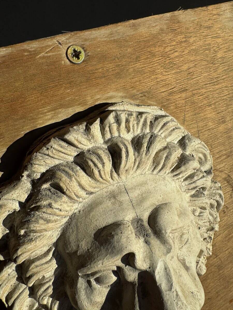 Off-white plaster lion head relief on natural wood panel — Walter De Buck, classical decorative sculpture