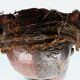 African Salampasu Mask