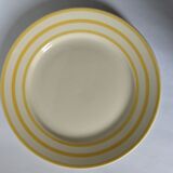 Plates canary yellow lines