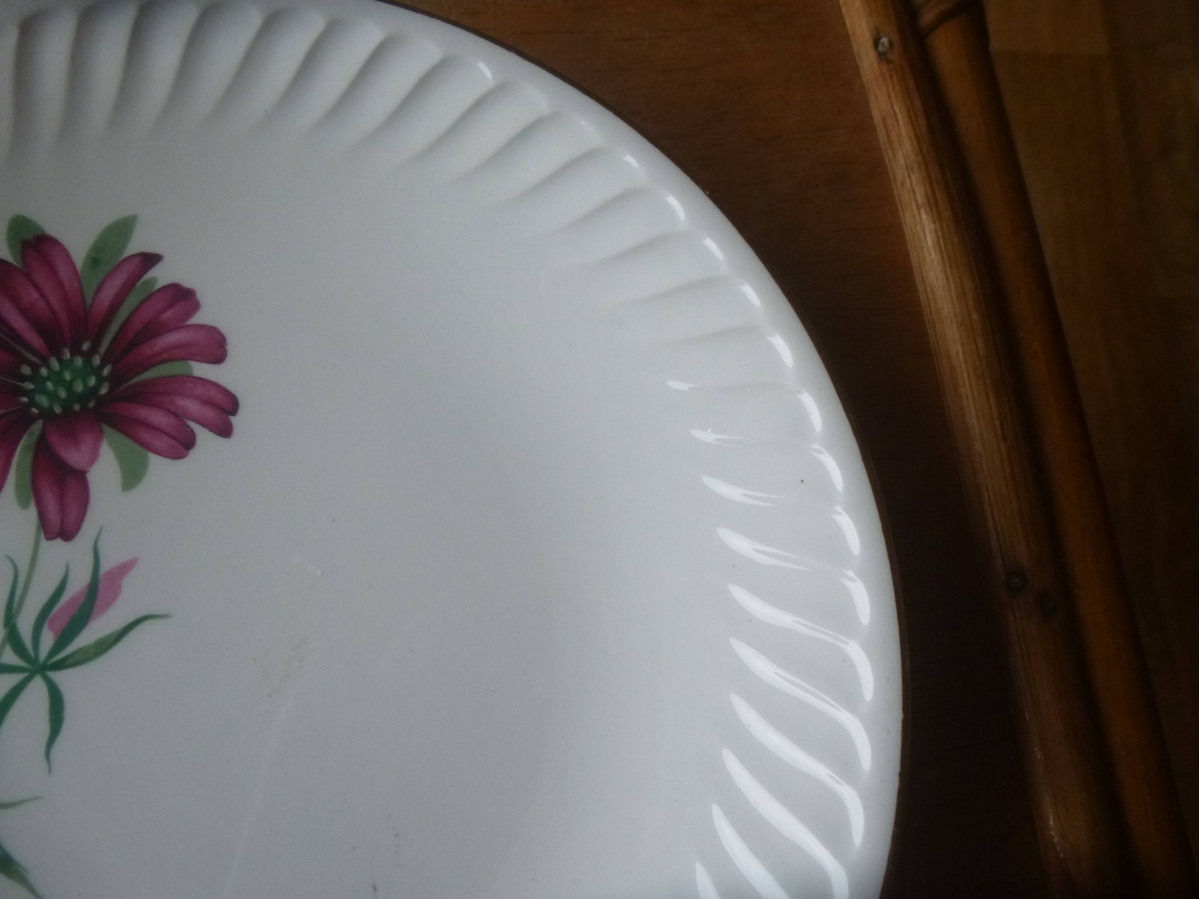 Flat plate gien model Malmaison
