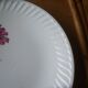 Flat plate gien model Malmaison