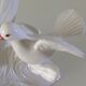 Vintage Italian ceramic table lamp with doves.