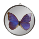 Natiralized morpho butterfly frame under curved glass