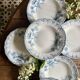 Lot de 8 assiettes creuses anciennes en terre de fer - modèle Régence