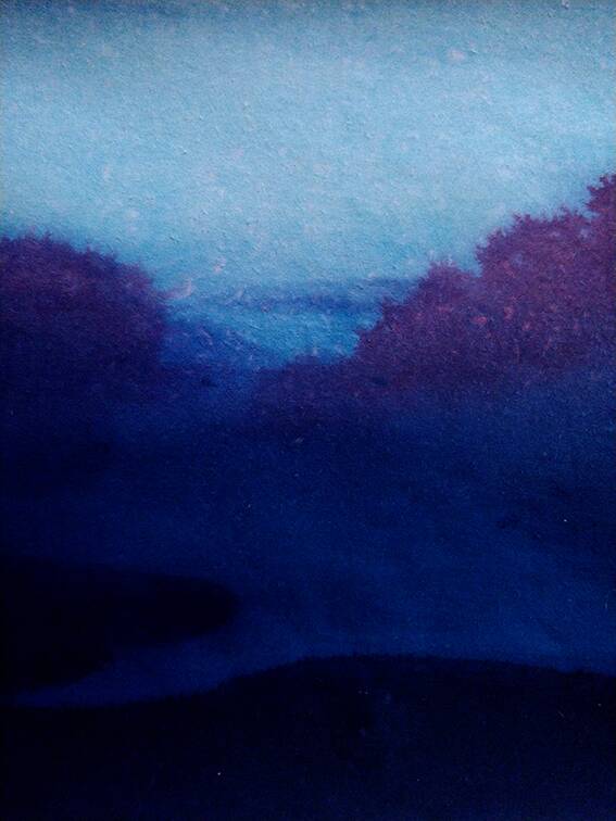 Blue landscape in ink Between dog and wolf 10