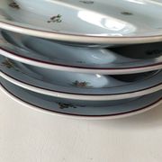 7 assiettes compartimentées Salins France