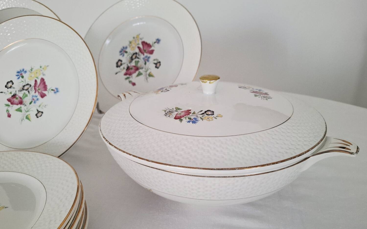 Antique Opaque Porcelain Dinner Service Digoin and Sarregue
