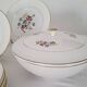 Antique Opaque Porcelain Dinner Service Digoin and Sarregue