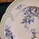 9 old K&G Lunéville hollow plates Regency model
