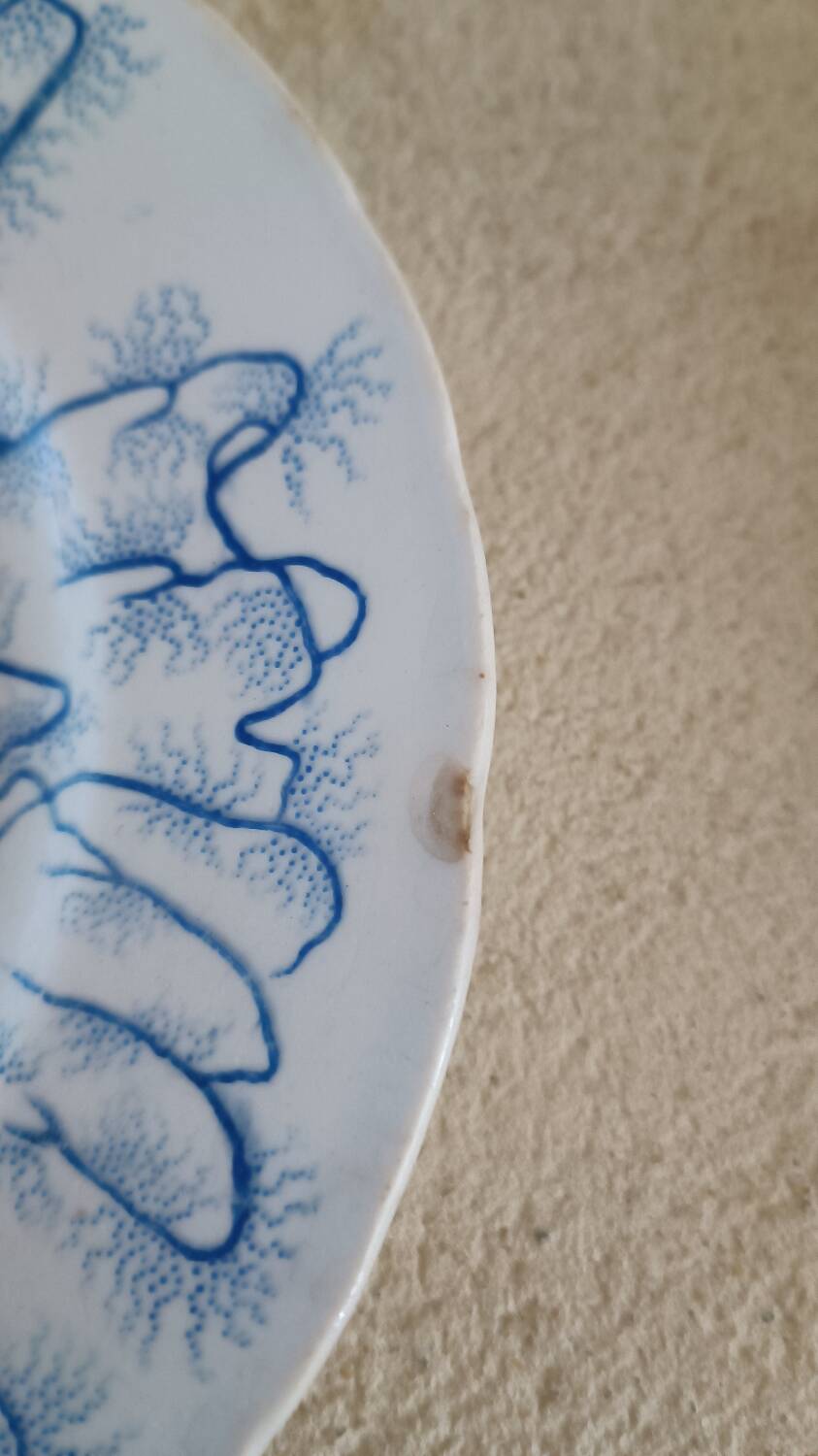 4 assiettes Creil-Montereau modèle Flora Lichen