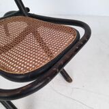 Fauteuil Thonet « Caminsessel » no 1