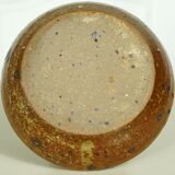 Pyrite sandstone shell