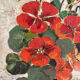 Peinture huile sur toile capucines fleurs vintage