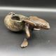 Frog, pulling snail shell, bronze sculpture, empty pocket, jewelry storage, collection
