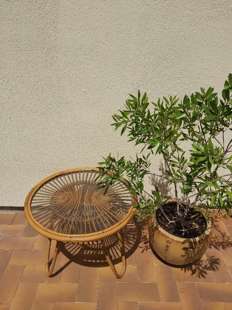 Rattan coffee table 50s