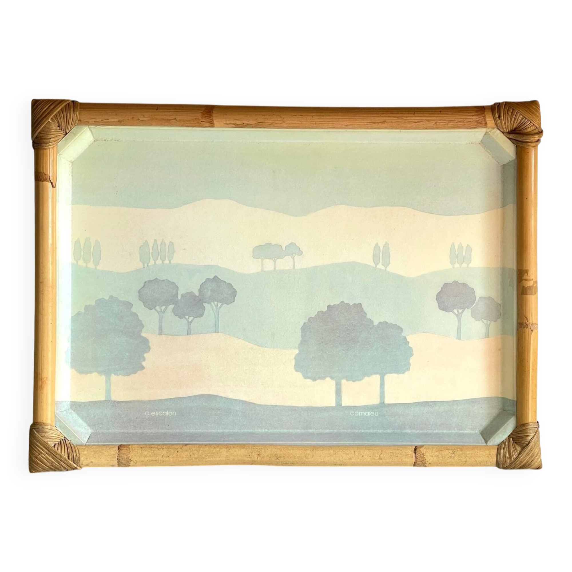 Catherine escalon vintage fiberglass serving tray