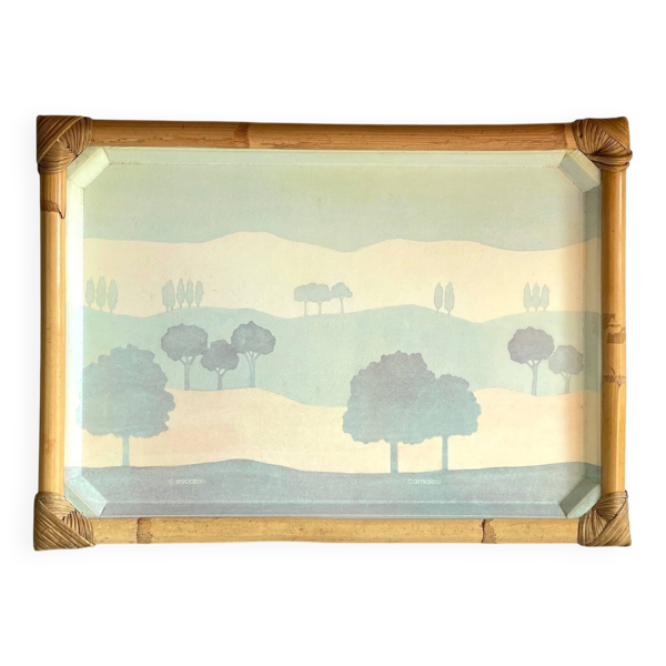 Plateau de service catherine escalon fibre de verre vintage