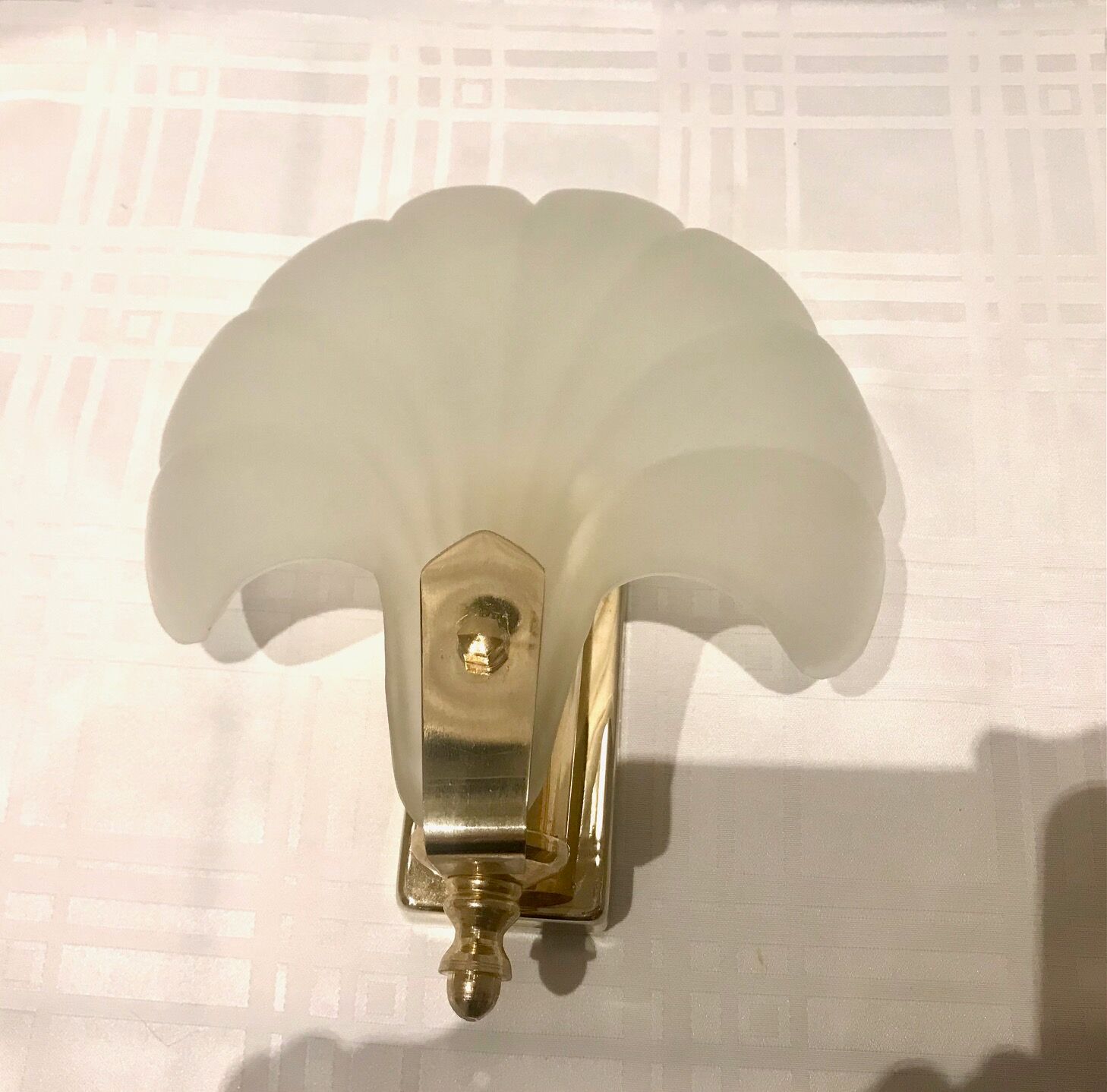 Pair of shell sconces