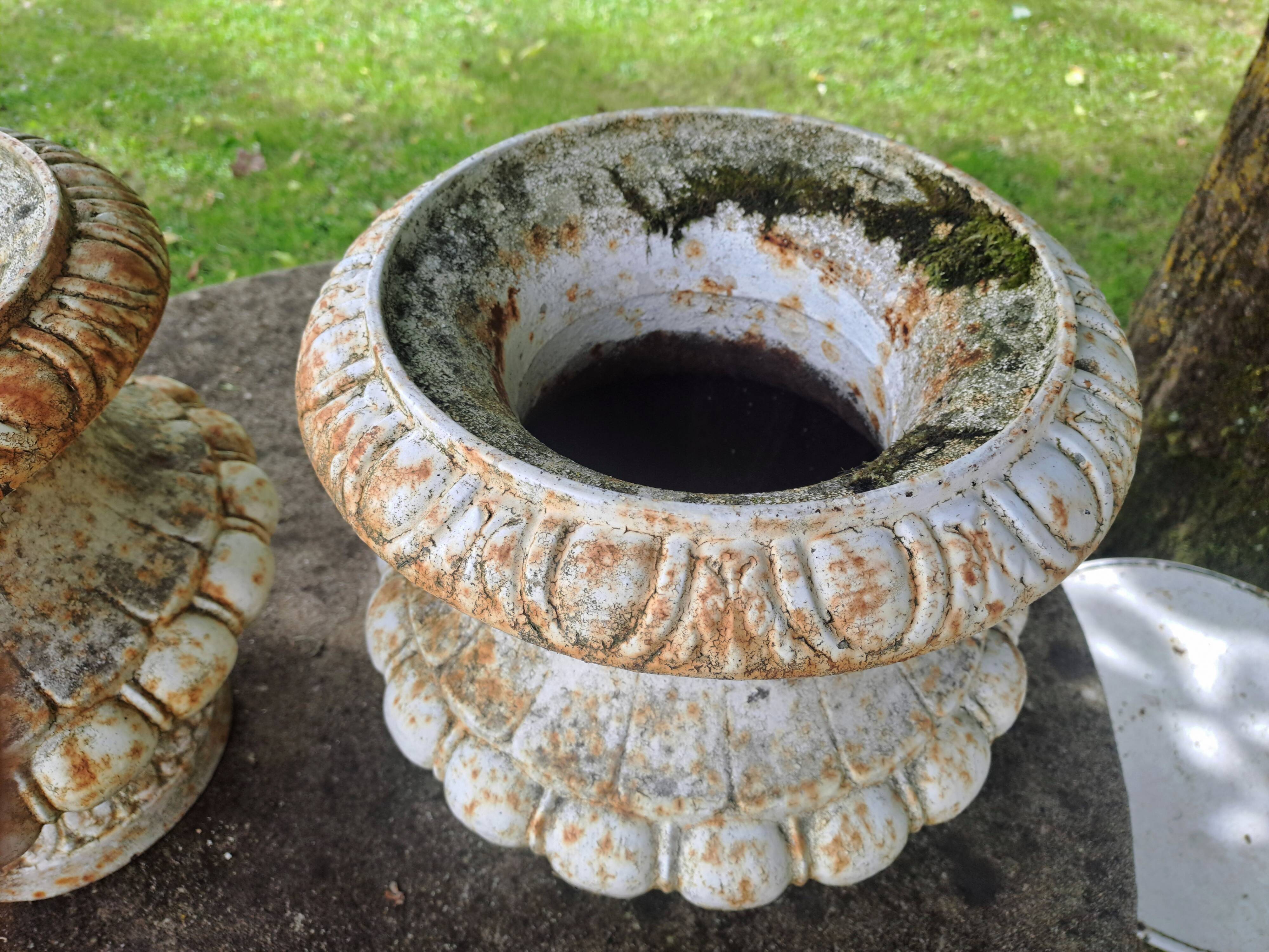 Pair of Médicis planters in cast iron by Godin, 19th century.