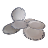 Flat plates ironstone Saussure