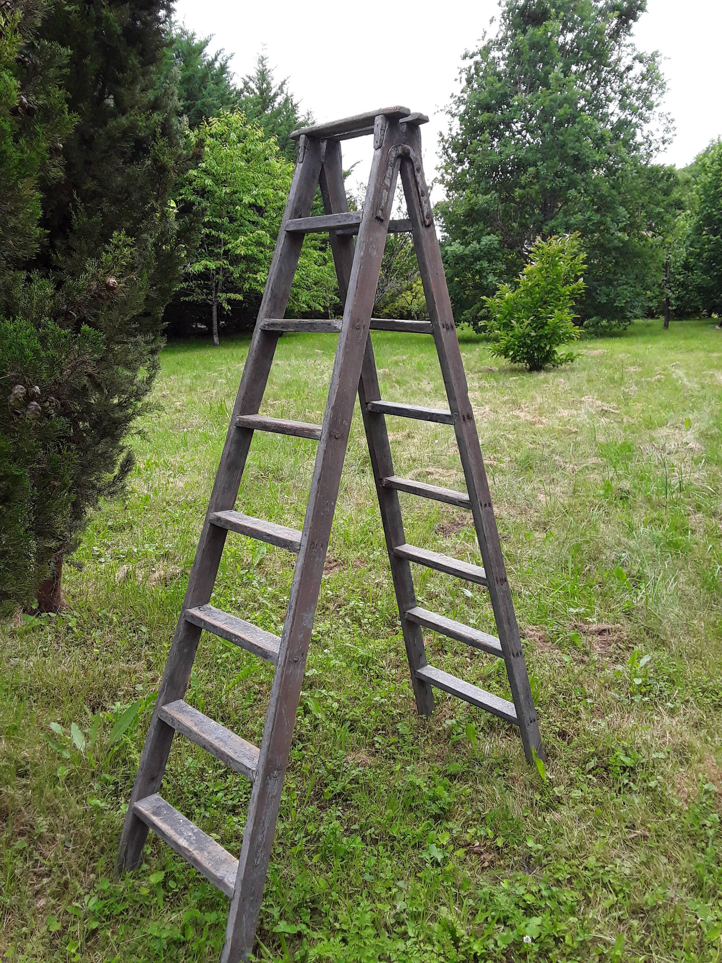 Painter ladder, stepladder