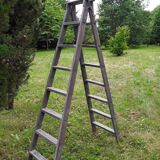 Painter ladder, stepladder