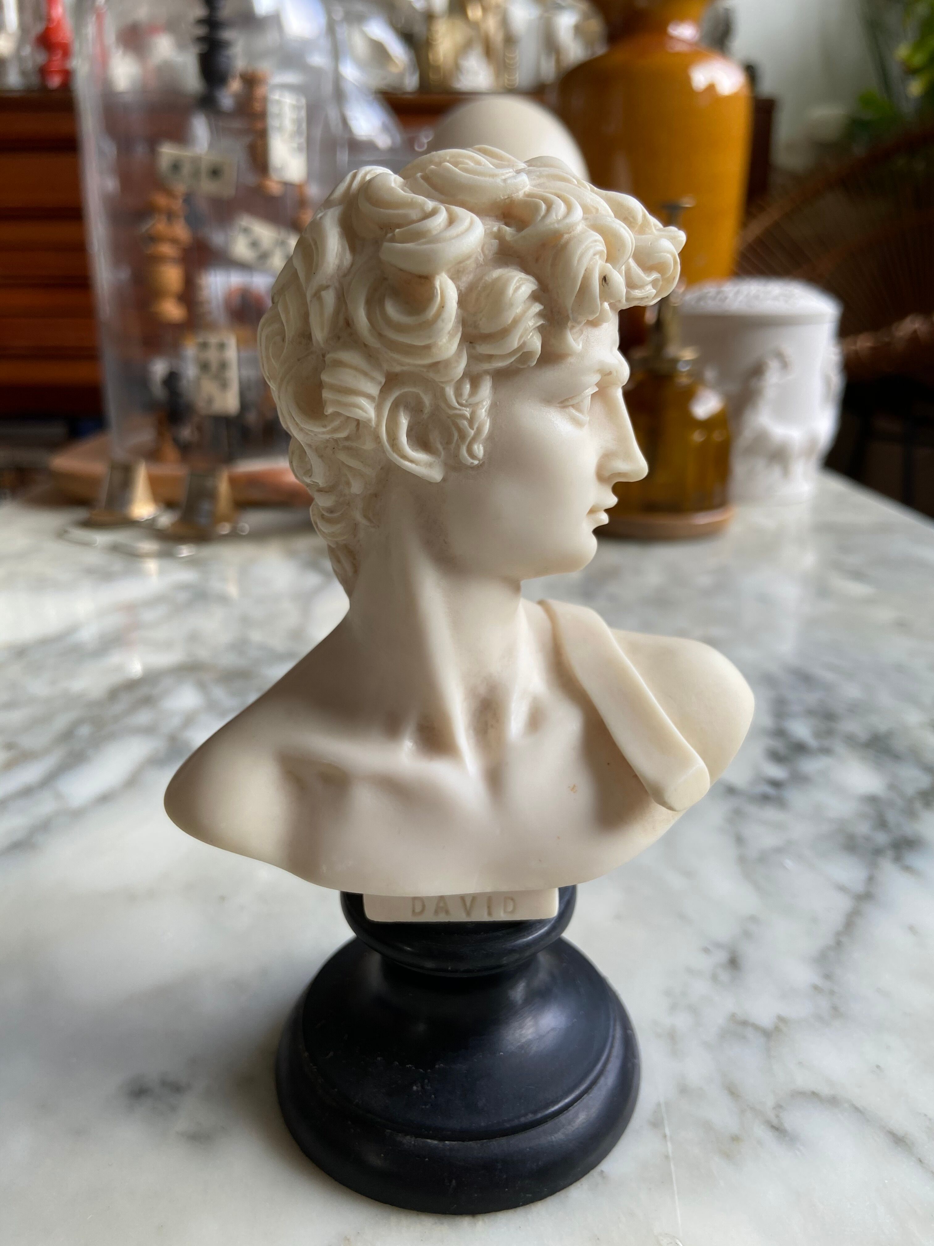 Bust of David