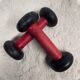 Set of 2 vintage dumbbells 50