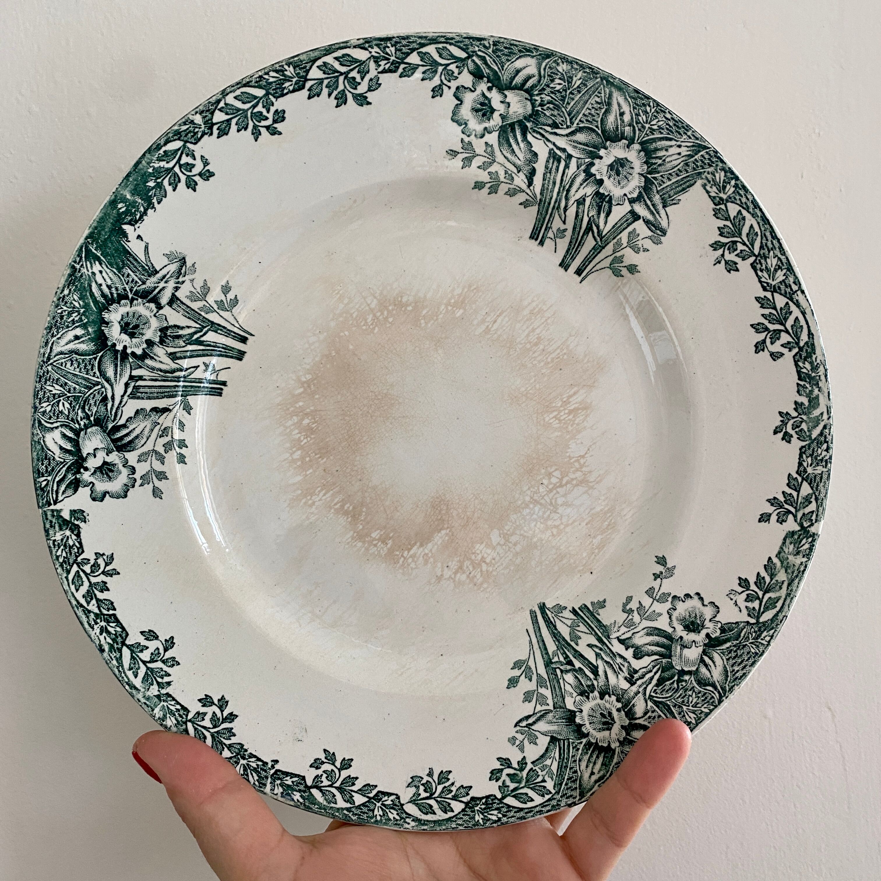 Set of 6 flat plates in iron earth (LOT 5)