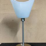 Tulip lamp