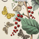 Illustration gravure animal vintage - Buffon 1850