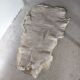 Reindeer skin