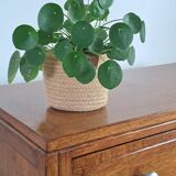 Oak chest of drawers from the 1950s