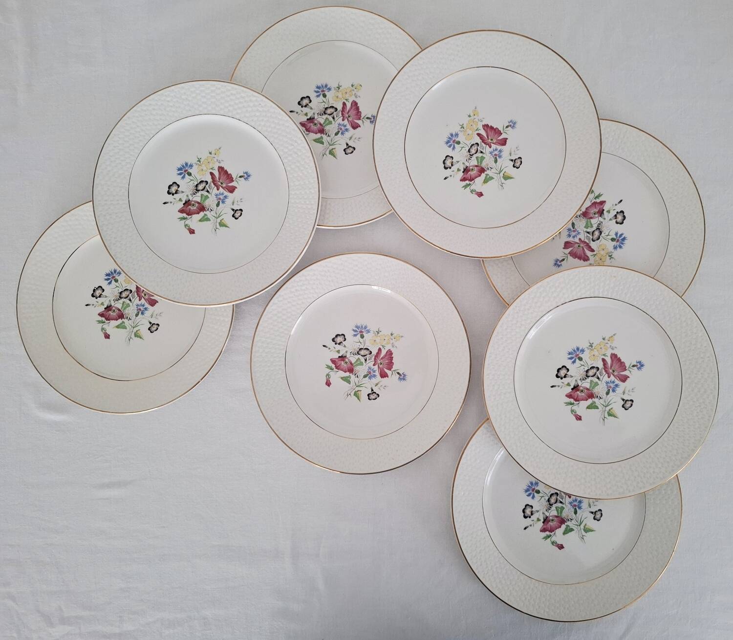 Antique Opaque Porcelain Dinner Service Digoin and Sarregue
