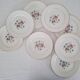 Antique Opaque Porcelain Dinner Service Digoin and Sarregue