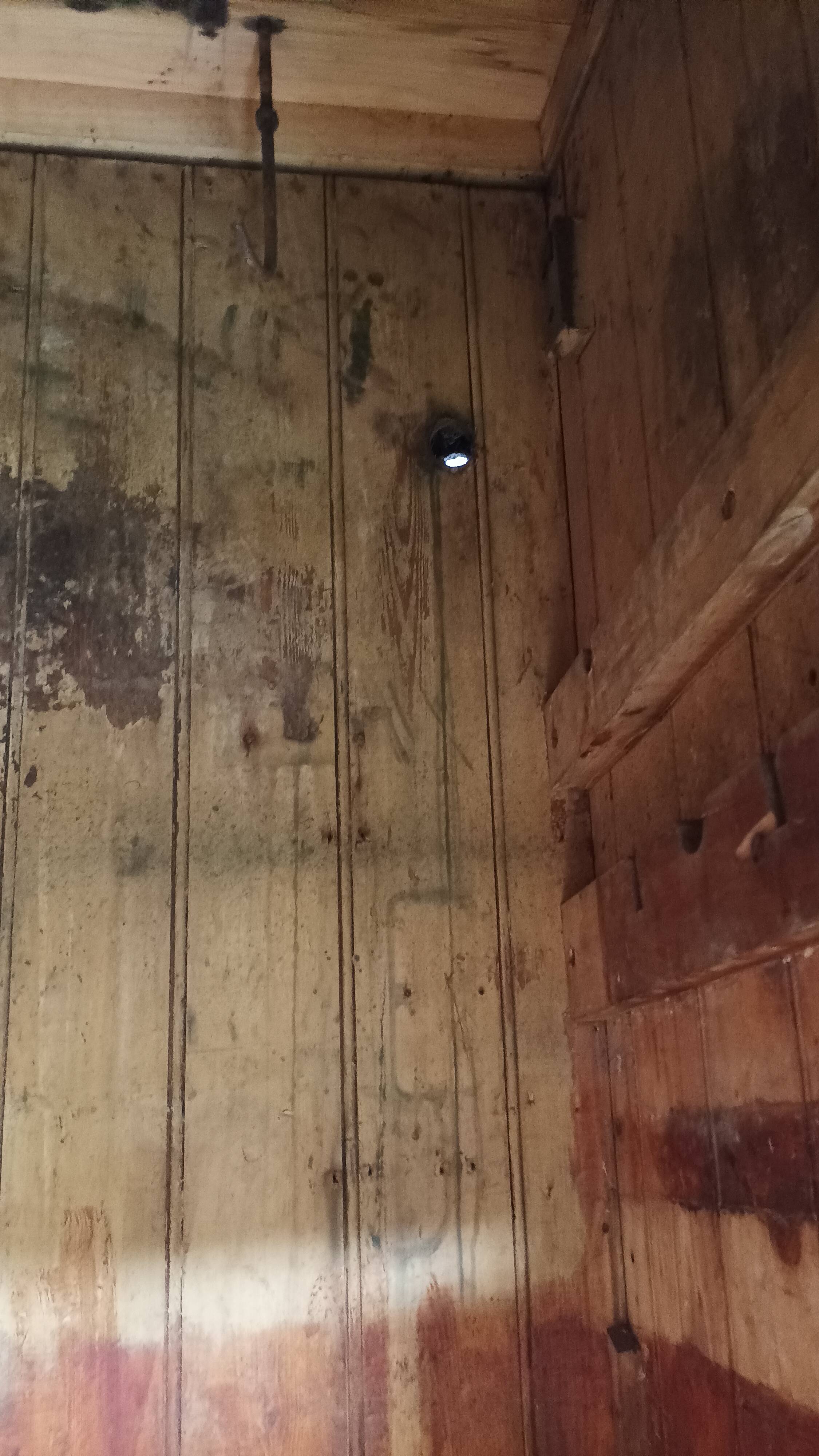 Xavier Aubert Dijon butcher's cooler in solid oak, professional furniture