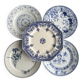 Mismatched plates in blue and white earthenware from various European manufacturers.