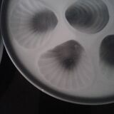 Set of 9 plates of oysters belons