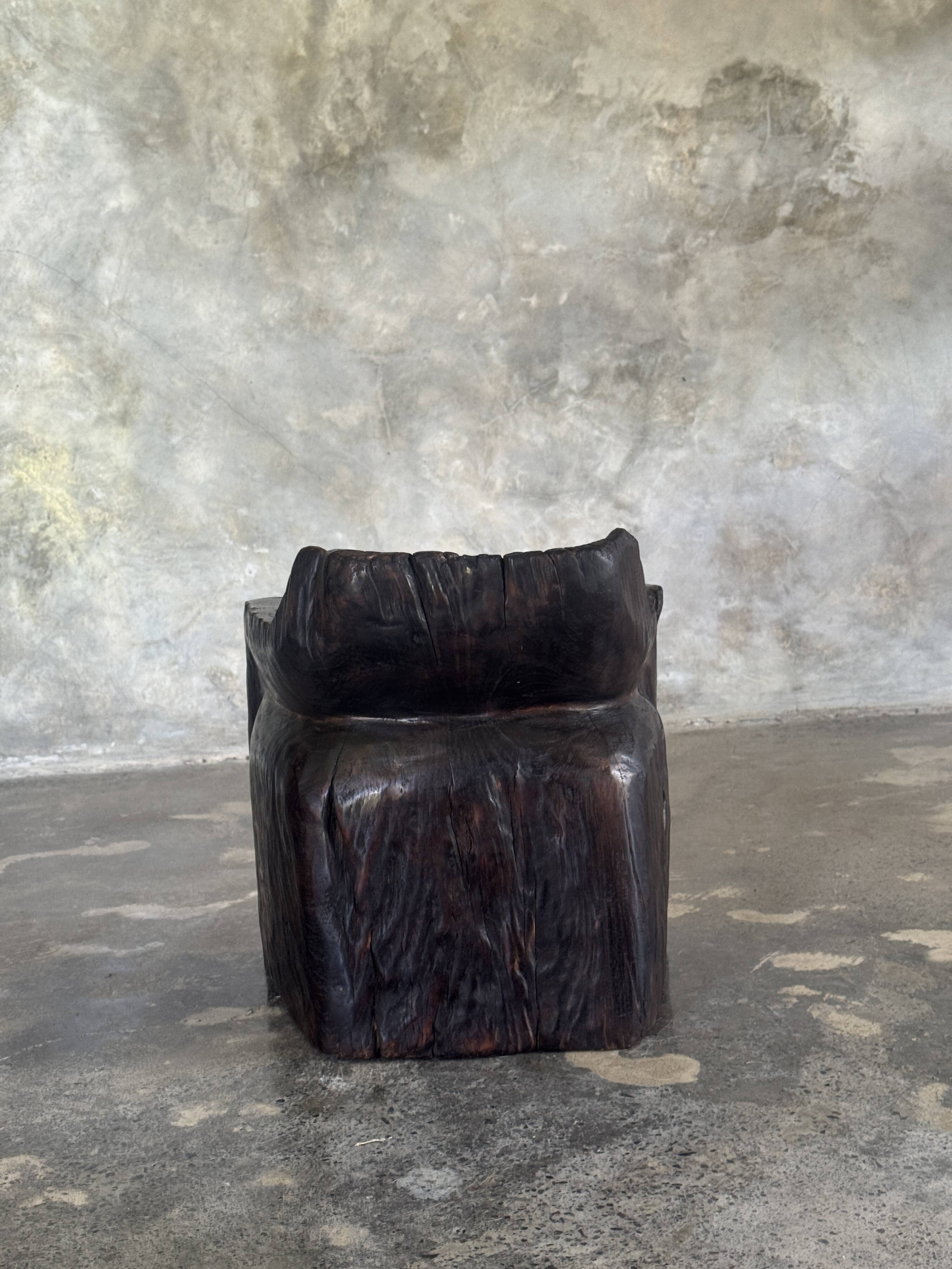 Stool, tabouret or low Japanese-style armchair in brutalist monoxyle radica.