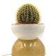 Lampe Planter / Pot en fibre de verre, Luci Milano Italie, années 1970