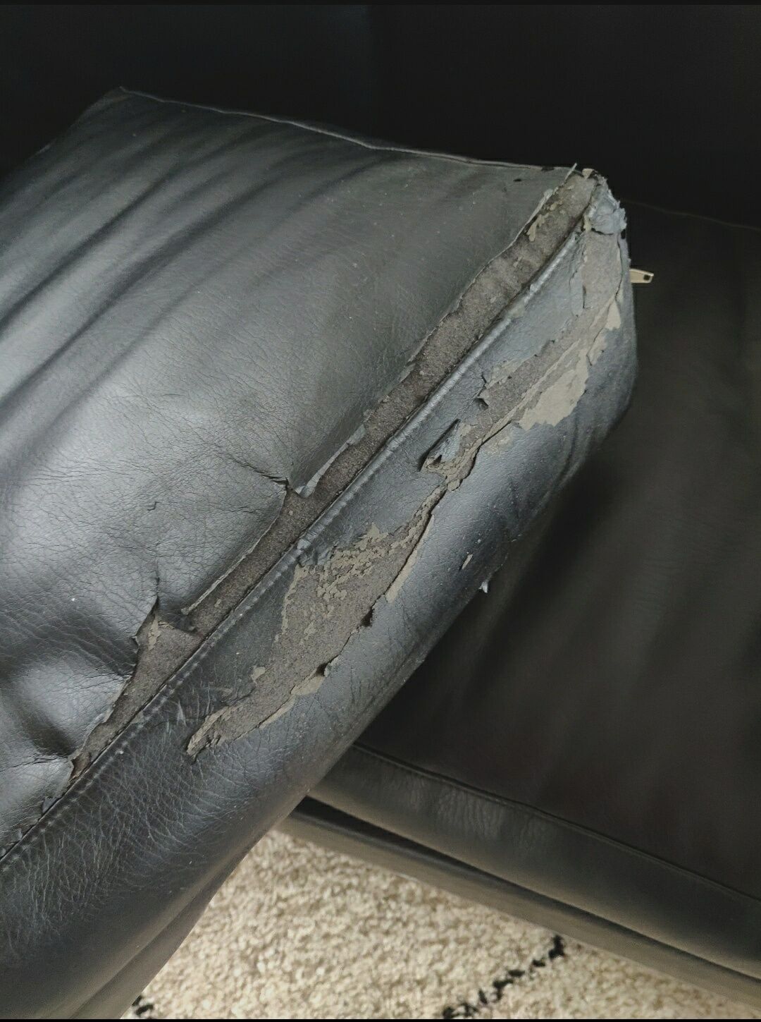 LC2 sofa by Le Corbusier edition Cassina