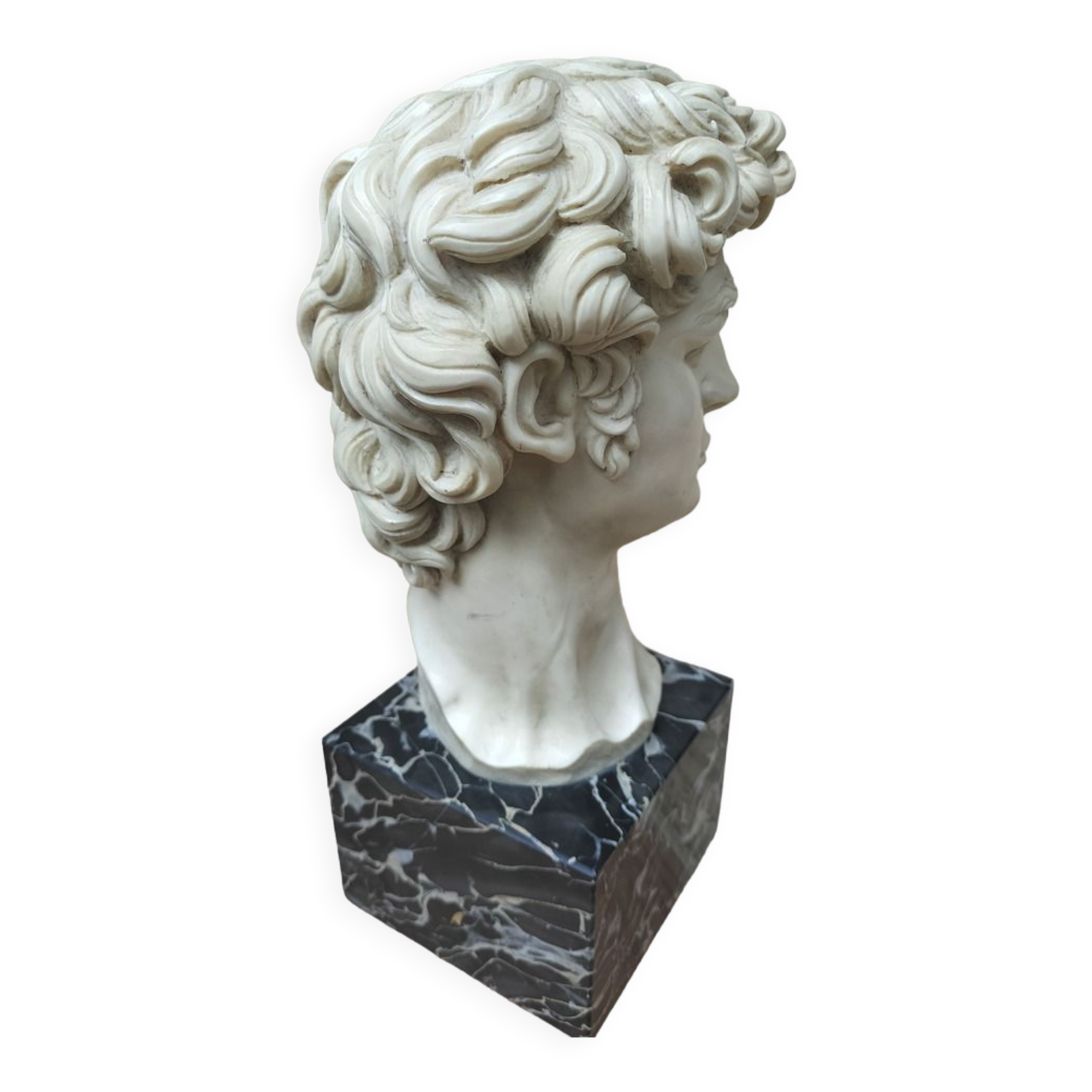 Reproduction head of David