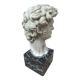 Reproduction head of David